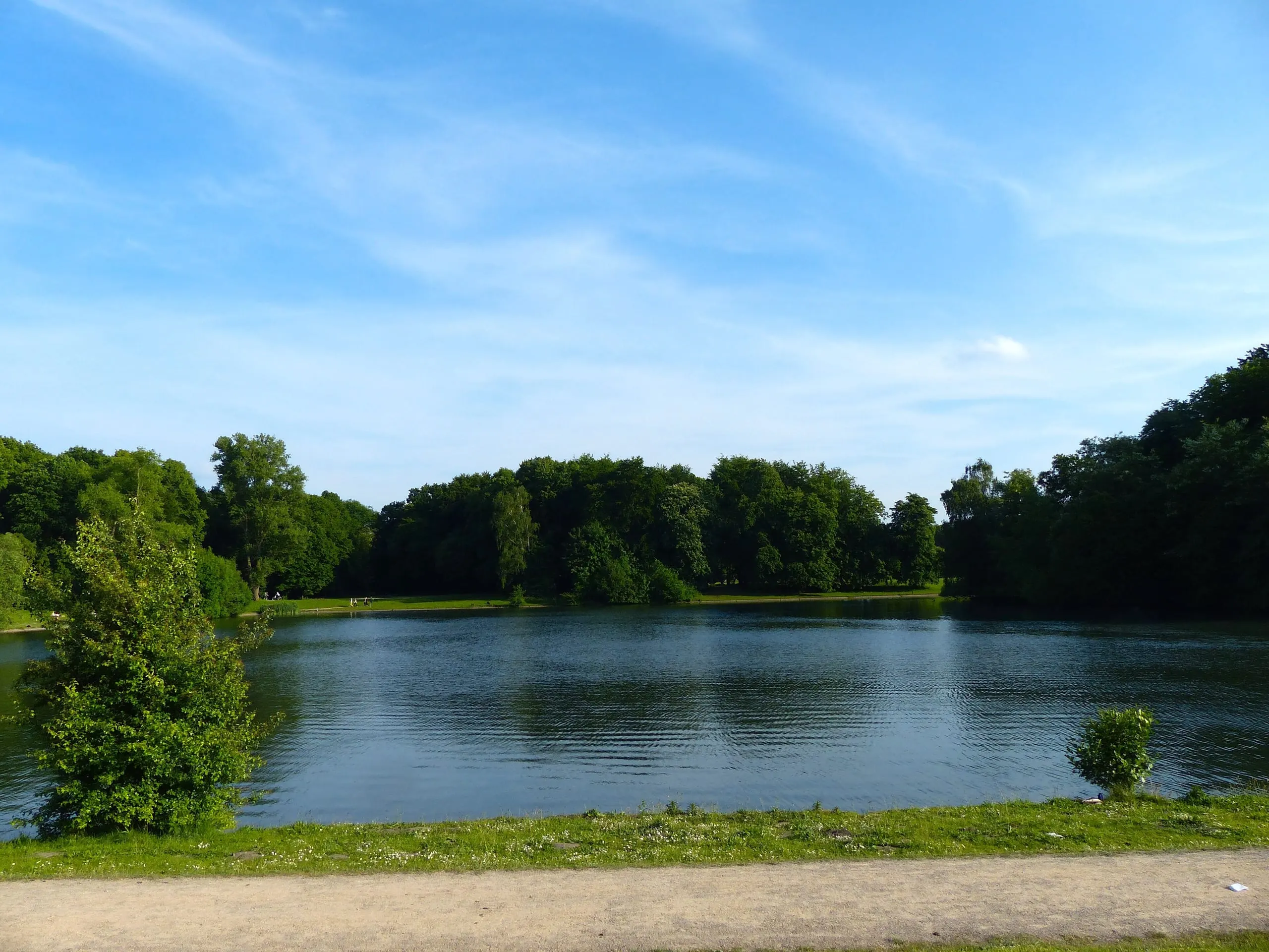 Decksteiner Weiher in Köln-Lindenthal, Blick über das Wasser auf den Uferwald